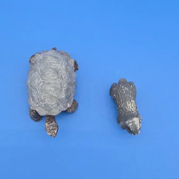 Schleich Tortoise & Hare Figure Set Wildlife Animal Toy Lot 2 PVC - Picture 4 of 8